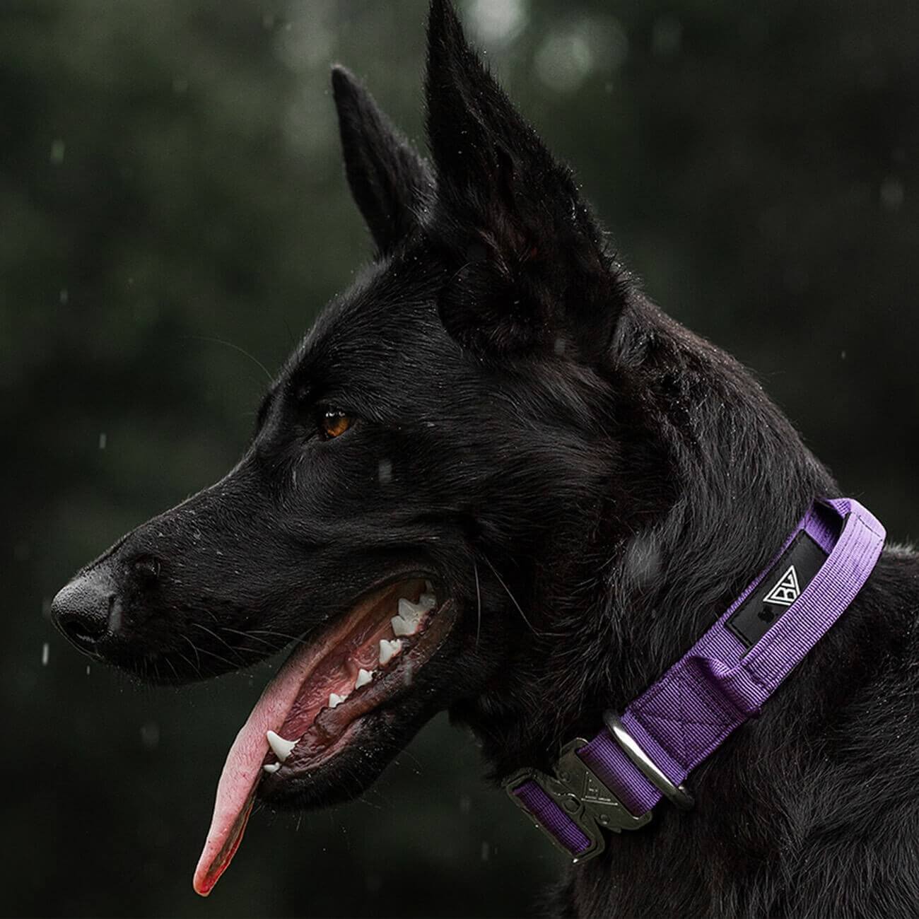 halsband hund mit wasser Confluence™ Wasserdichtes Hundehalsband | Geruchsneutral, Reflektierend main image 0