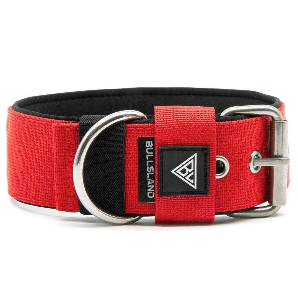 Breites Hundehalsband mit Neoprenpolsterung in Rot, robuste Dornschließe.