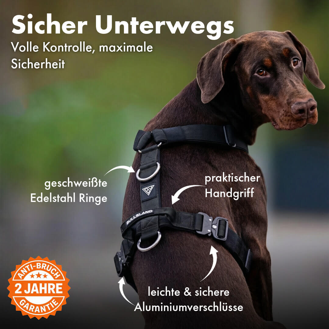 Taktisches Y-Geschirr "Pro" – mit Handgriff - Schwarz