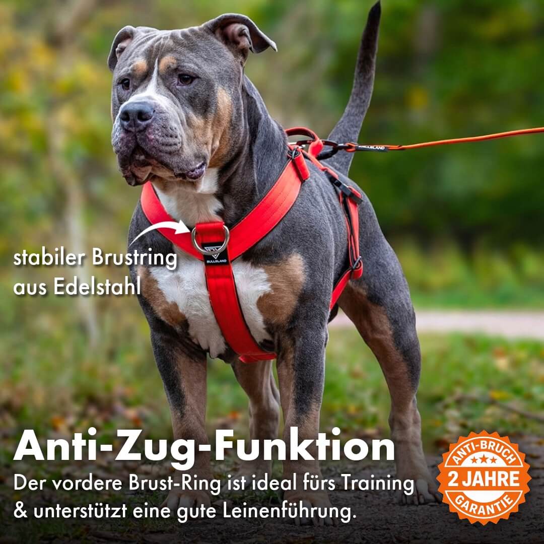 Taktisches Y-Geschirr "Pro" – mit Handgriff - Rot