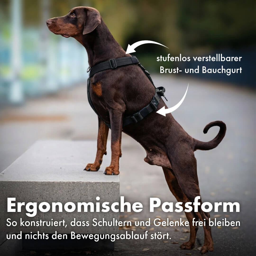 Taktisches Y-Geschirr "Pro" – mit Handgriff - Schwarz