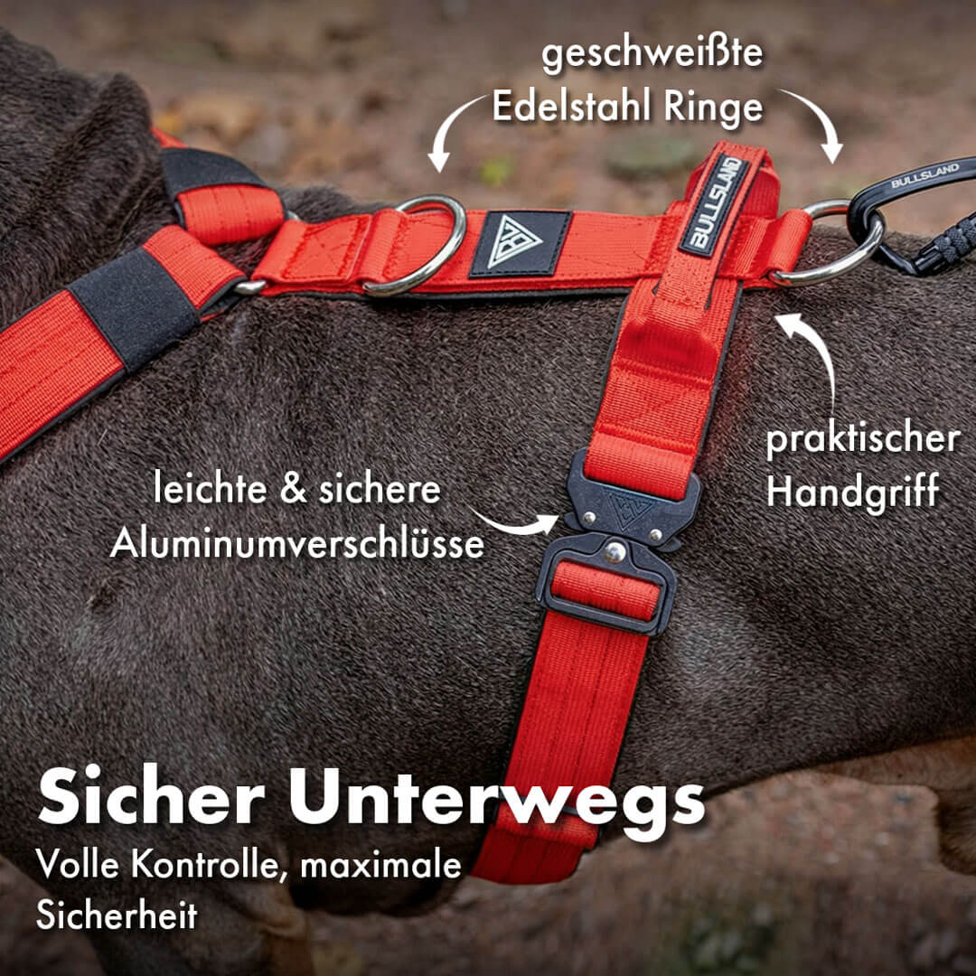 Taktisches Y-Geschirr "Pro" – mit Handgriff - Rot