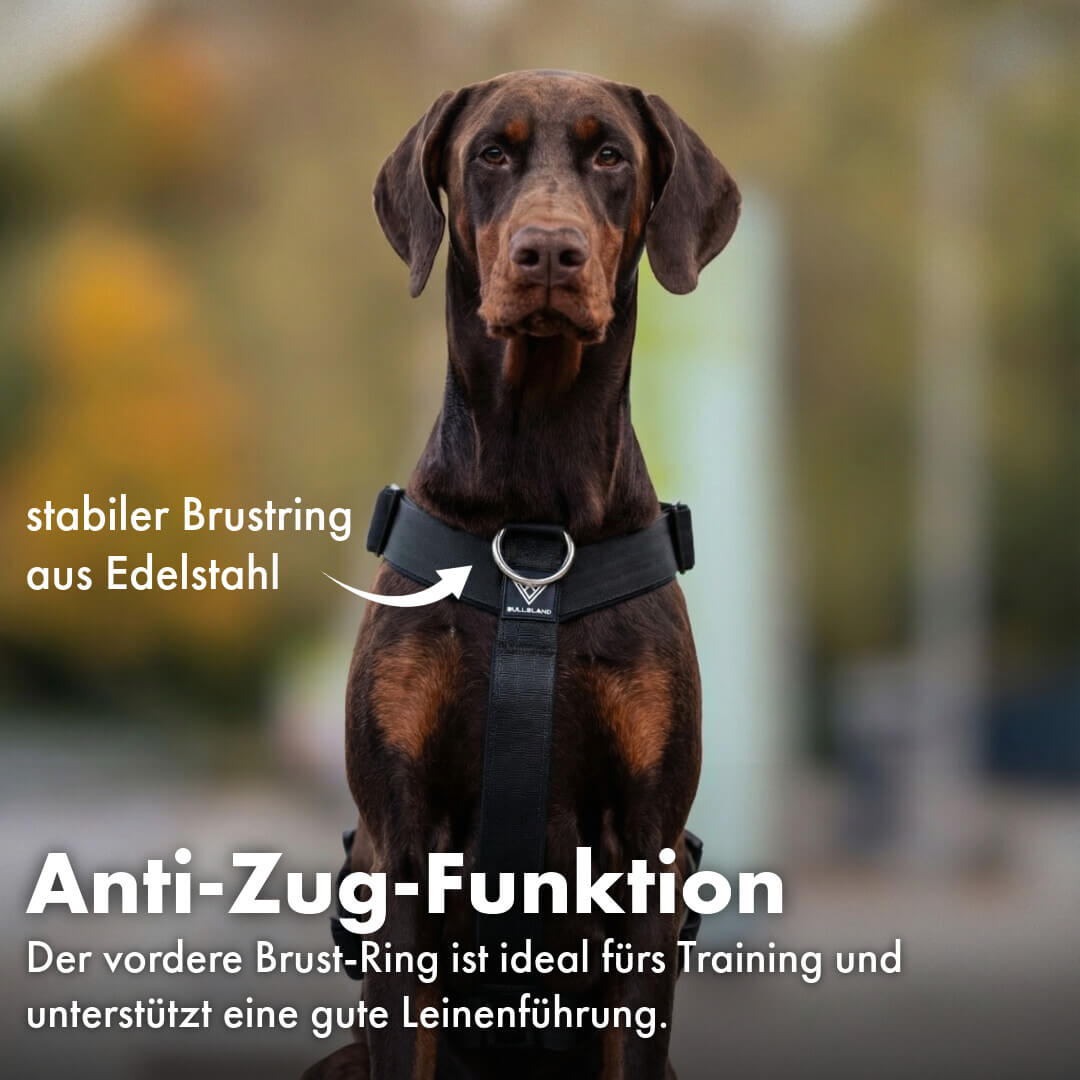 Taktisches Y-Geschirr "Pro" – mit Handgriff - Schwarz