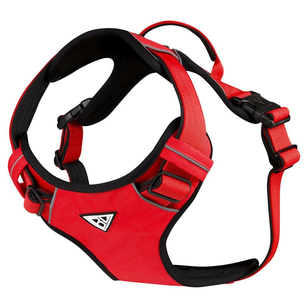 Gepolstertes rotes Hundegeschirr mit robustem Design und verstellbaren Gurten.