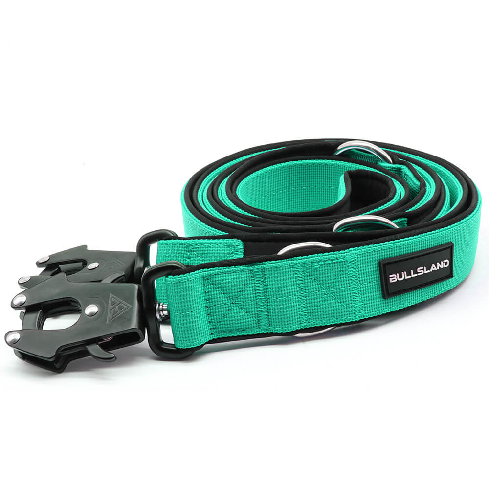 Taktische Hundeleine dreifach verstellbar - 2,5m - Mint Green