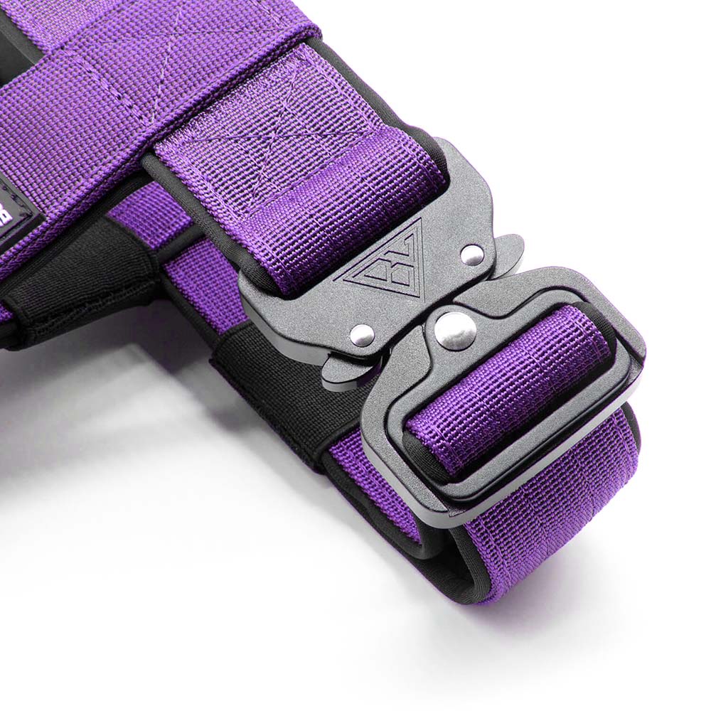 Detailansicht des Sicherheitsverschlusses am lila taktischen Hundegeschirr.