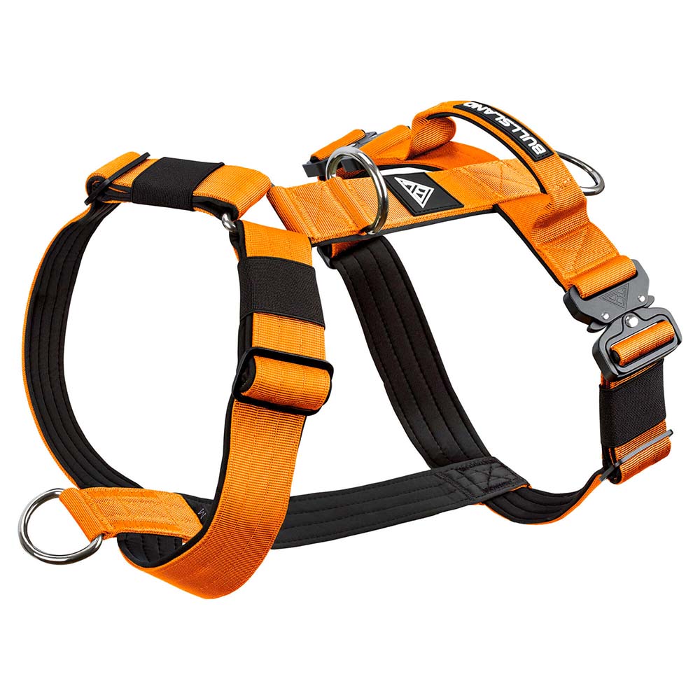 Taktisches Y-Geschirr "Pro" – mit Handgriff - Orange