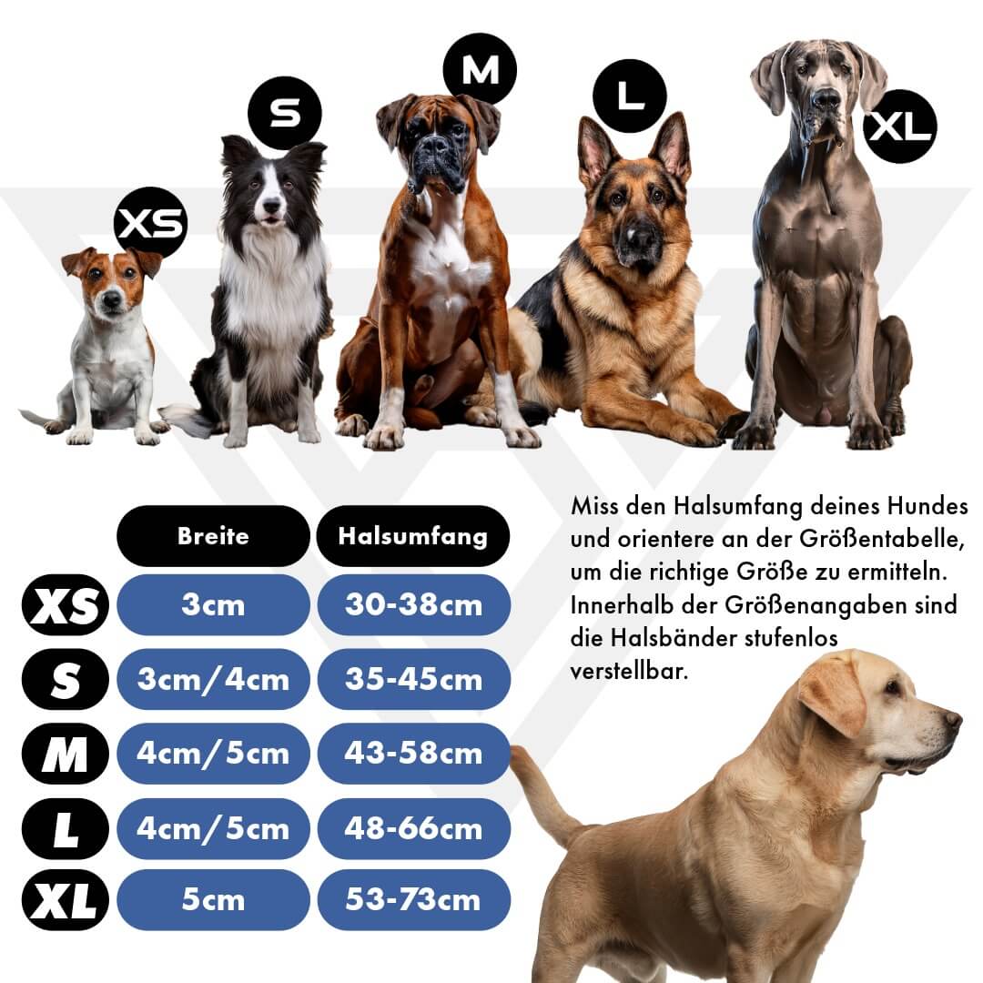 Taktisches Hundehalsband mit Griff - Blau