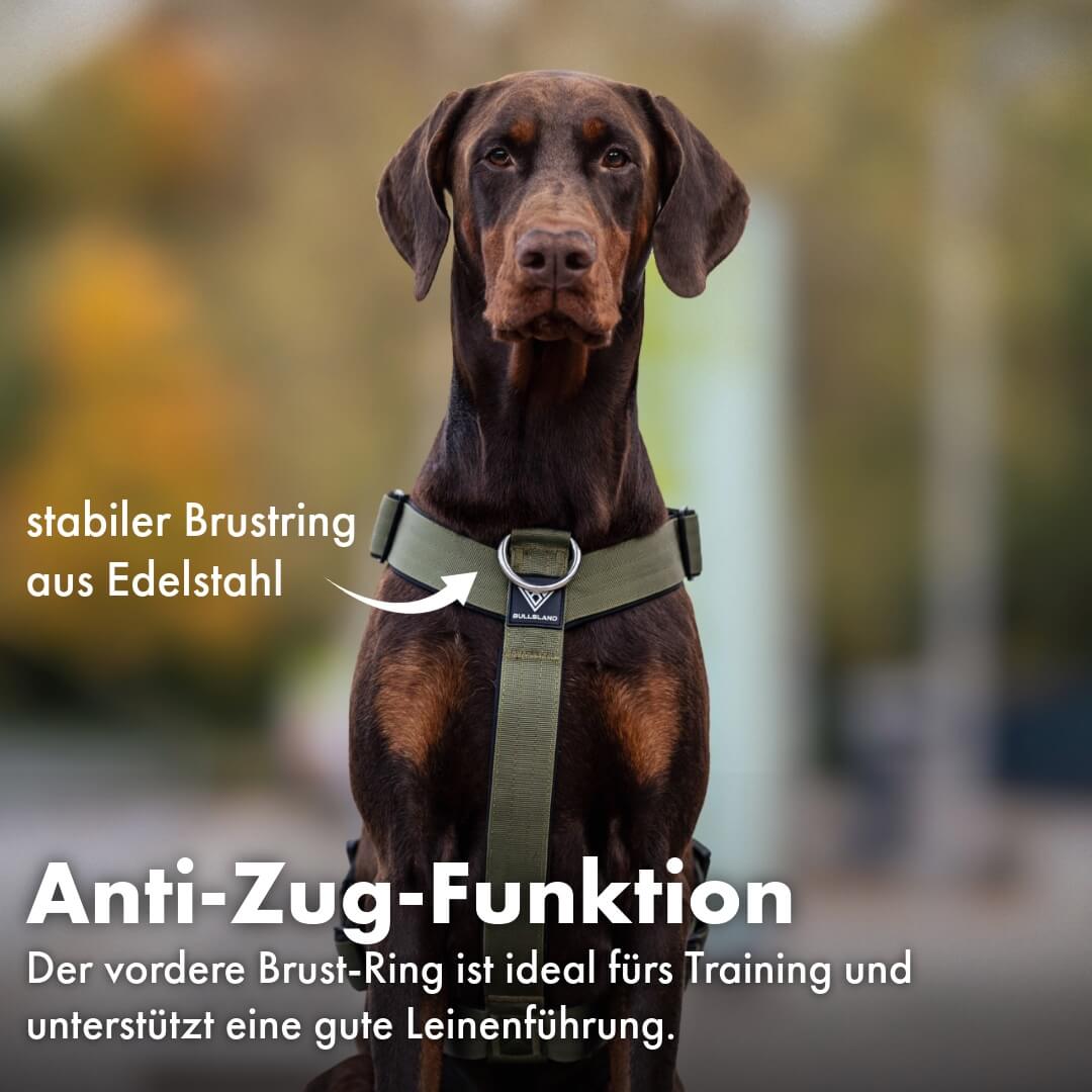 Taktisches Y-Geschirr "Pro" – mit Handgriff - Navy Green