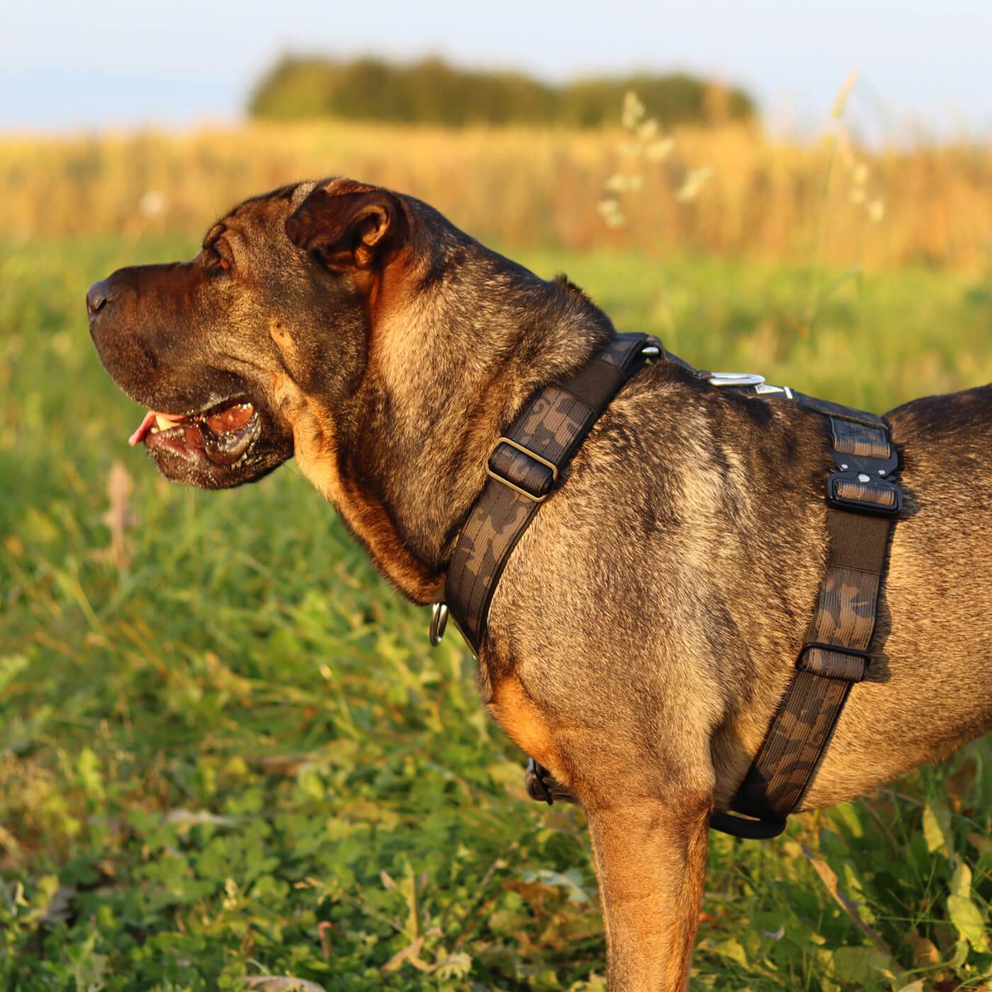 Taktisches Y-Geschirr - Bullsland Dogwear