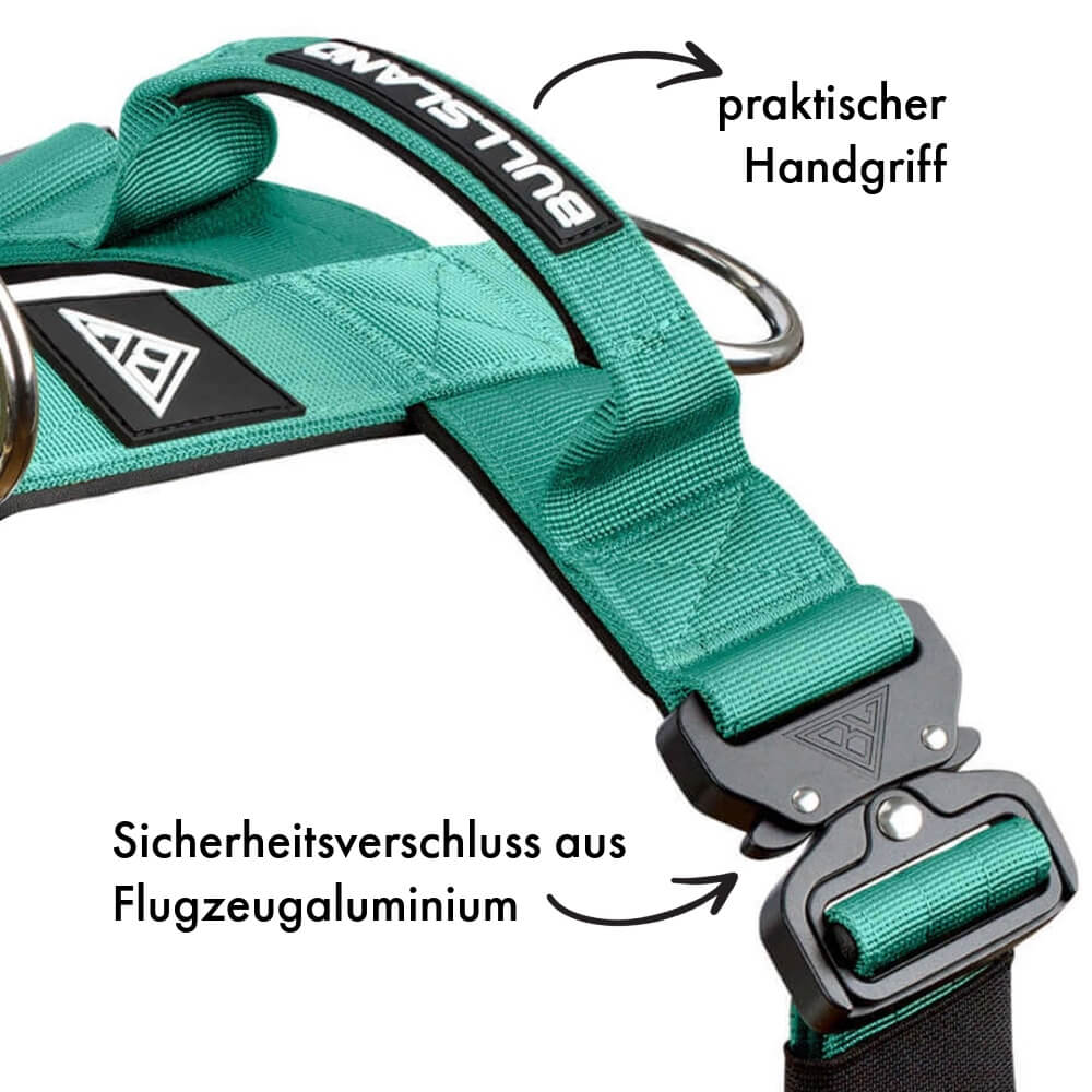 Taktisches Y-Geschirr "Pro" – mit Handgriff - Mint Green