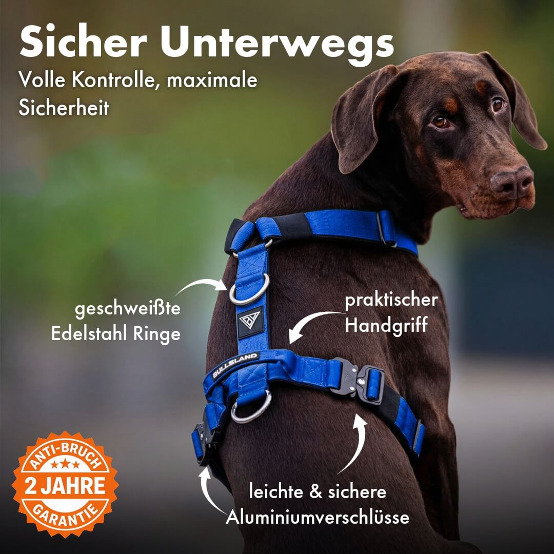 Taktisches Y-Geschirr "Pro" – mit Handgriff - Blau