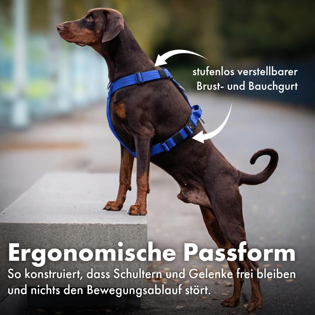 Taktisches Y-Geschirr "Pro" – mit Handgriff - Blau