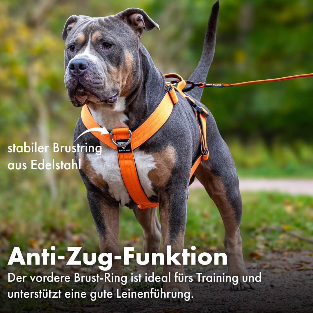 Taktisches Y-Geschirr "Pro" – mit Handgriff - Orange
