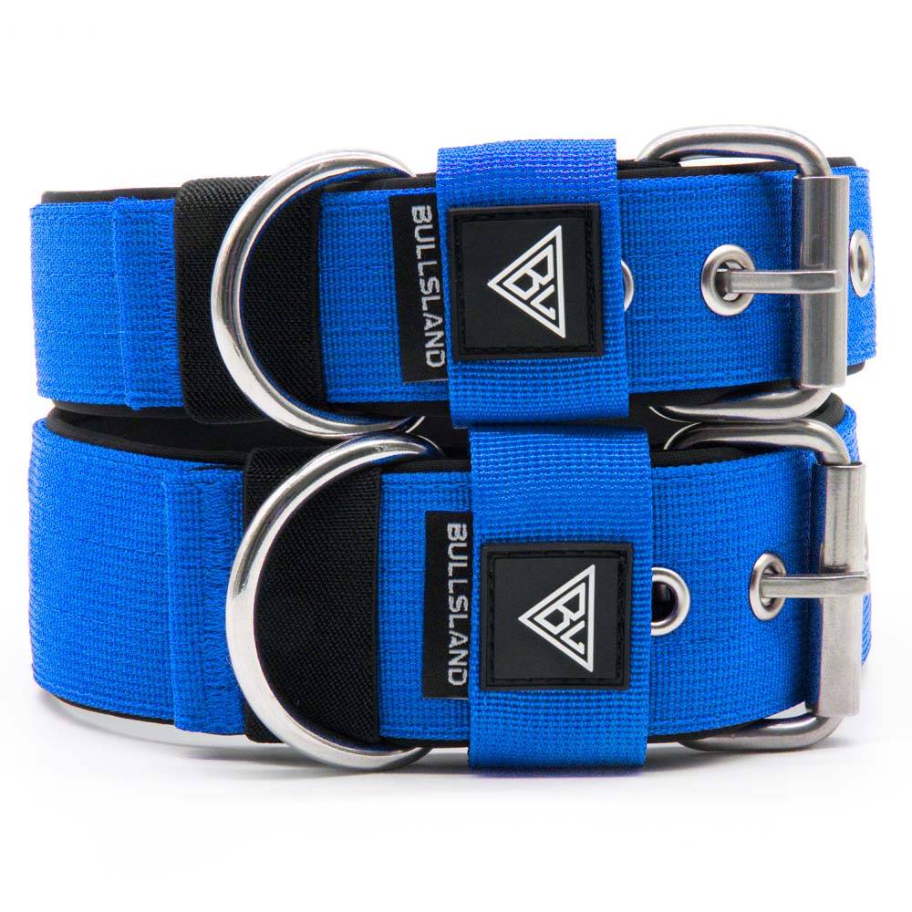 Zwei breite Hundehalsbänder mit Neoprenpolsterung in Blau, robuste Dornschließe.