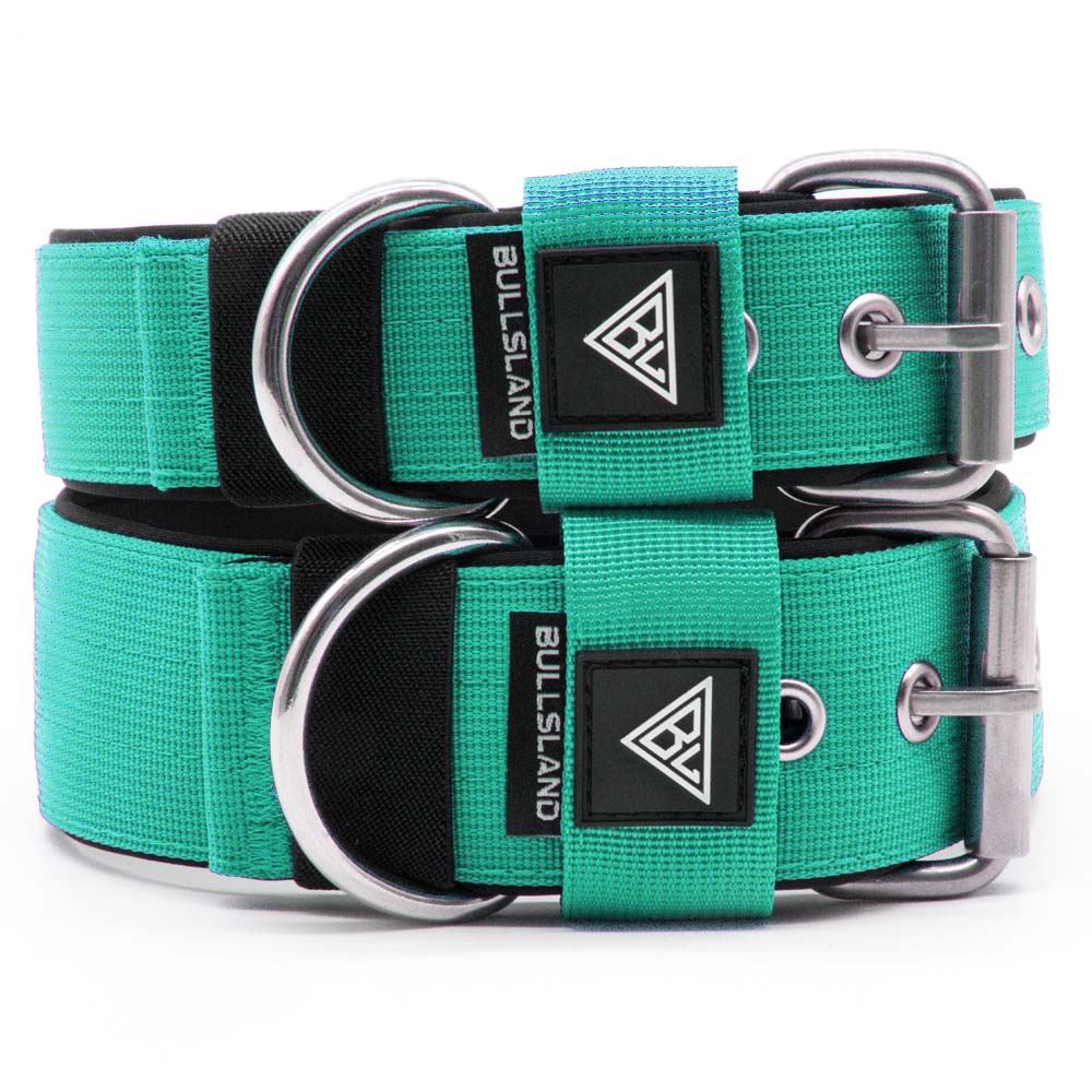 Zwei breite Hundehalsbänder in Mint Grün mit Neoprenpolsterung und Edelstahl-Dornschließe.