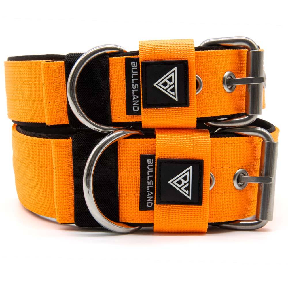 Zwei breite Hundehalsbänder mit Neoprenpolsterung in Orange, robuste Dornschließe.