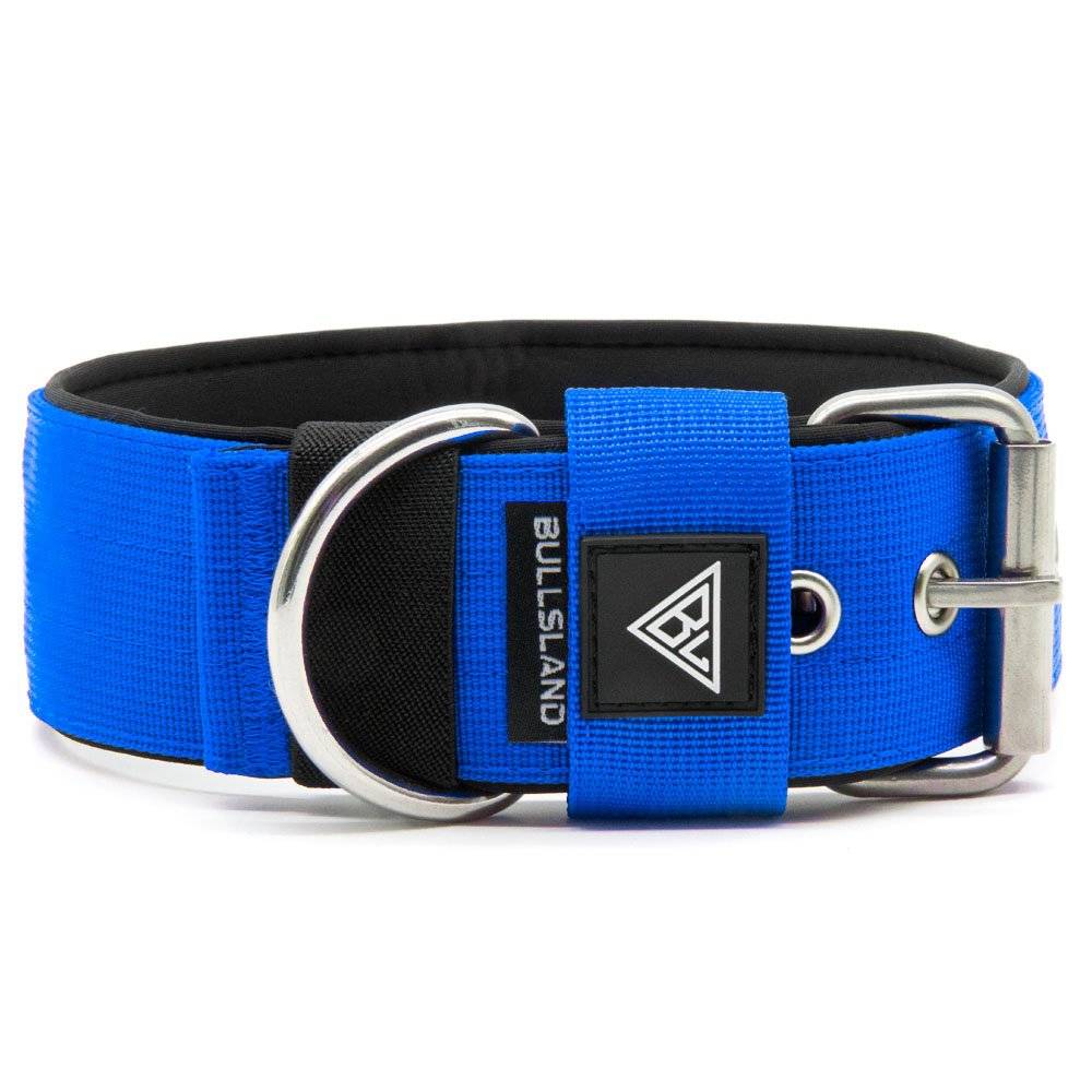 Breites Hundehalsband mit Neoprenpolsterung in Blau, robuste Dornschließe.