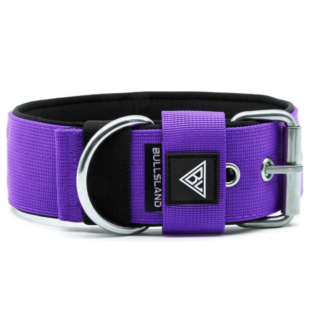 Breites Hundehalsband mit Neoprenpolsterung in Lila, robuste Dornschließe.