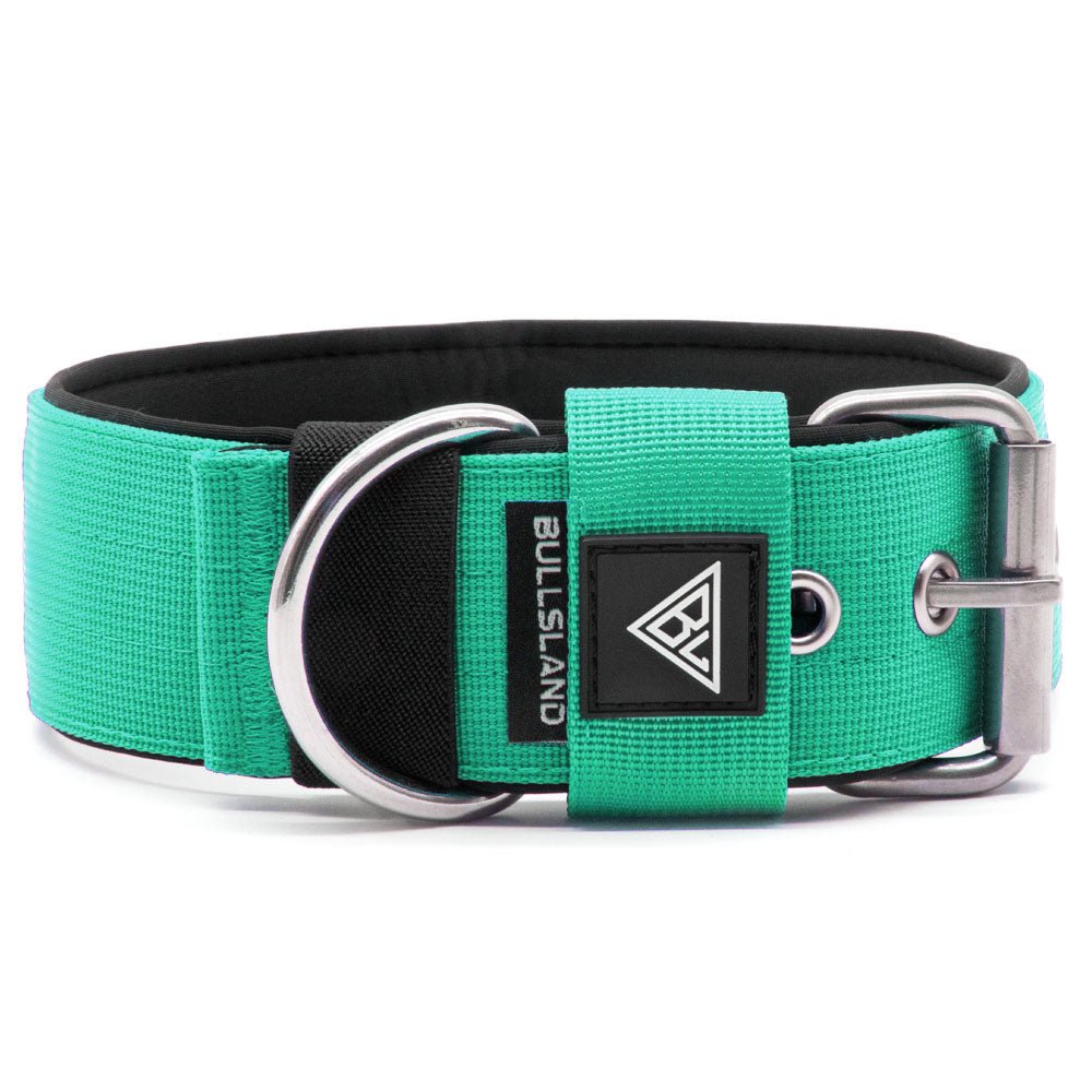 Breites Hundehalsband mit Neoprenpolsterung in Mint Grün, robuste Dornschließe.