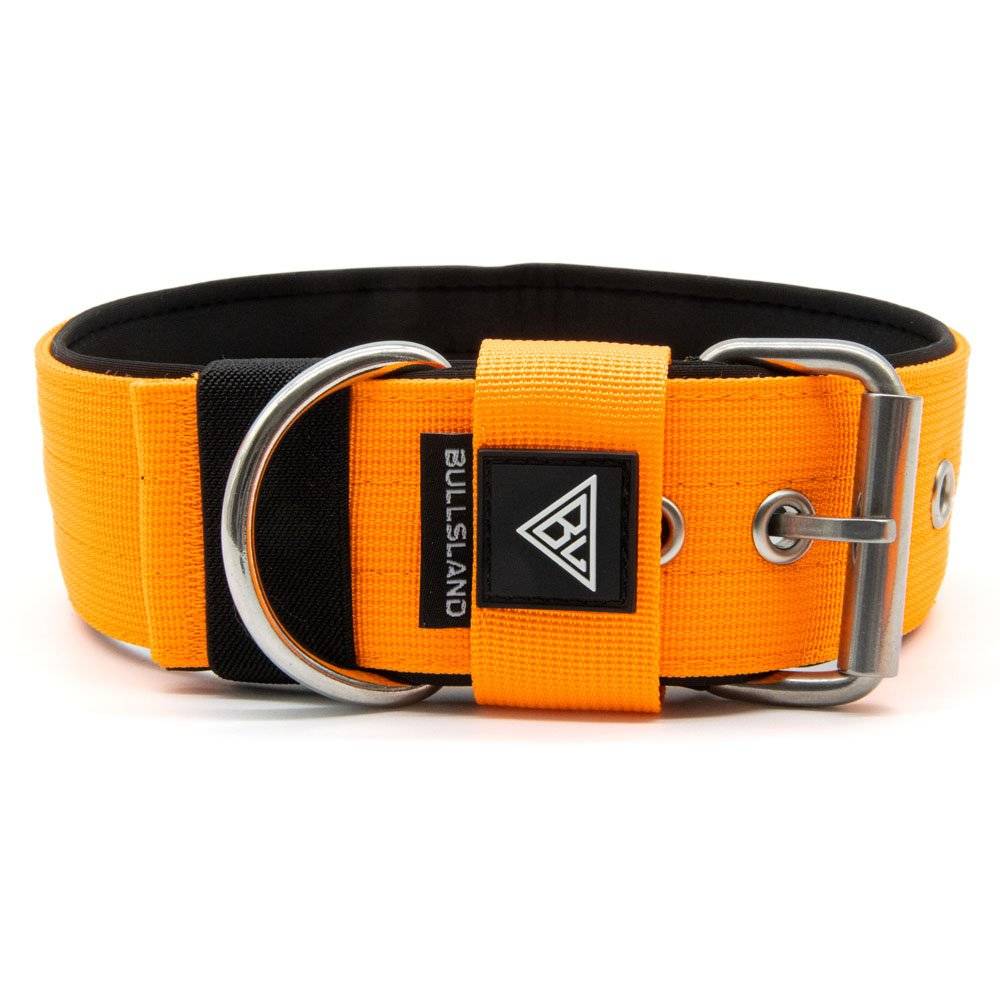 Breites Hundehalsband mit Neoprenpolsterung in Orange, robuste Dornschließe.