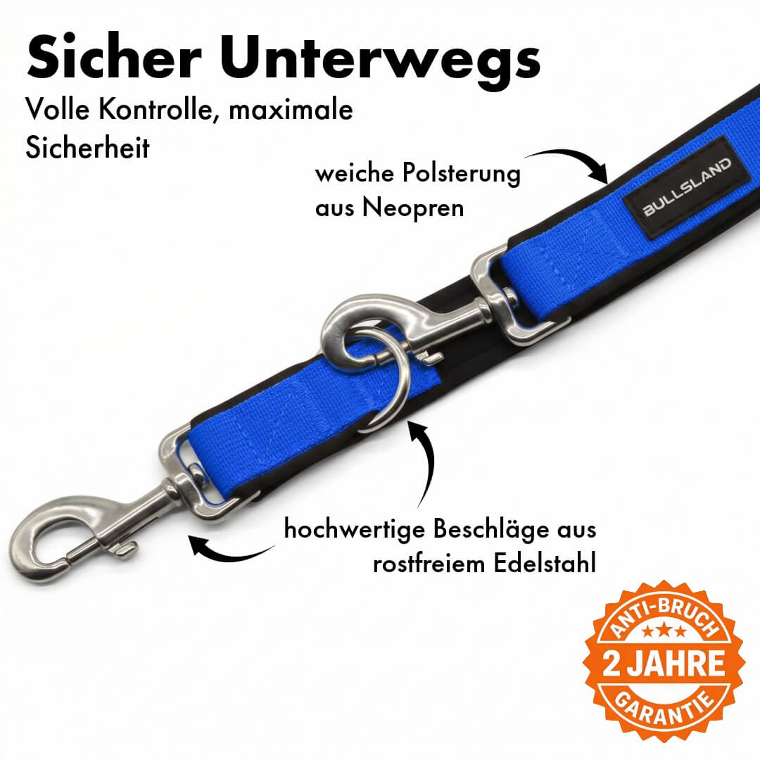 Hundeleine mit Edelstahl Karabiner- 3-fach verstellbar – mit Neoprenpolster - Blau