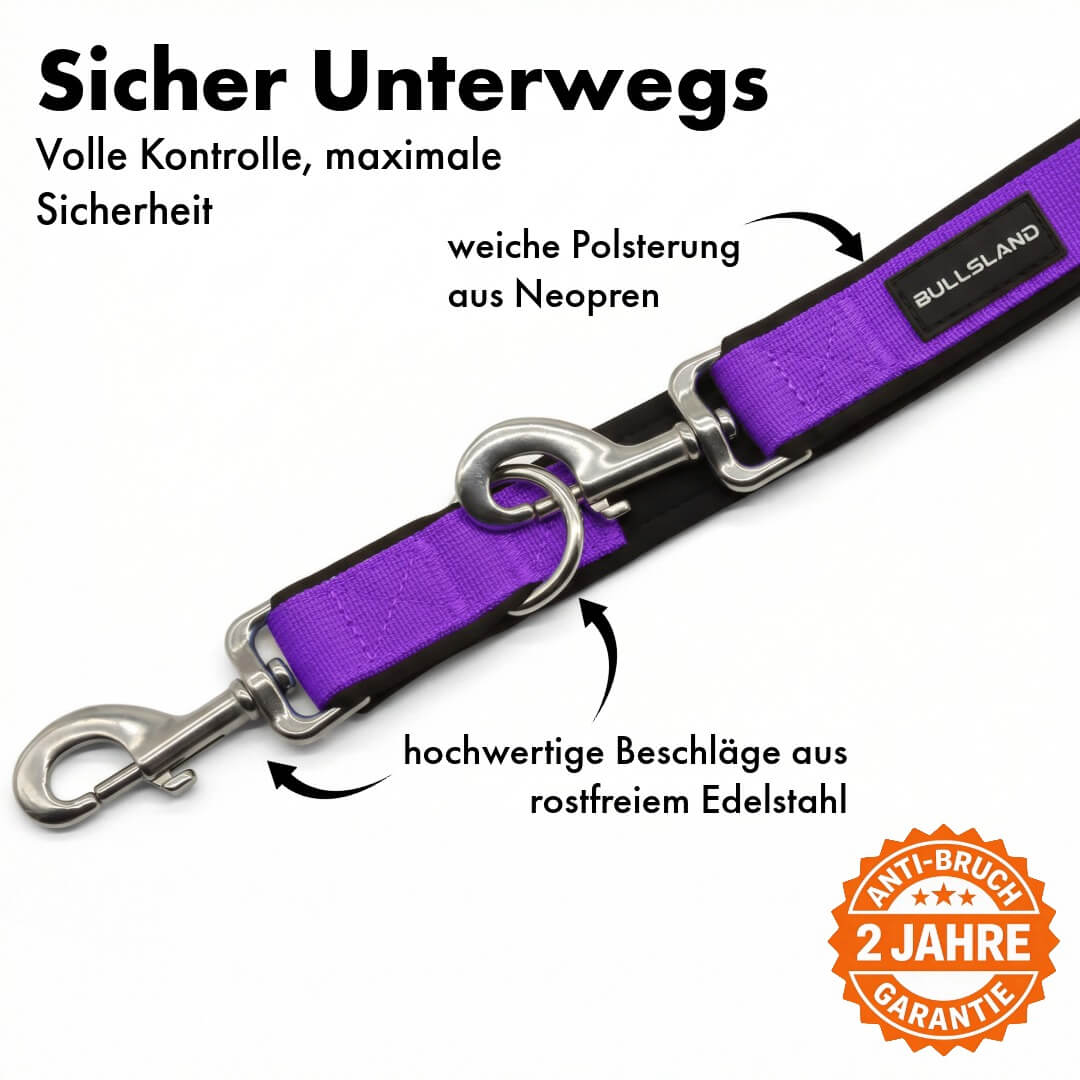 Hundeleine mit Edelstahl Karabiner- 3-fach verstellbar – mit Neoprenpolster - Lila