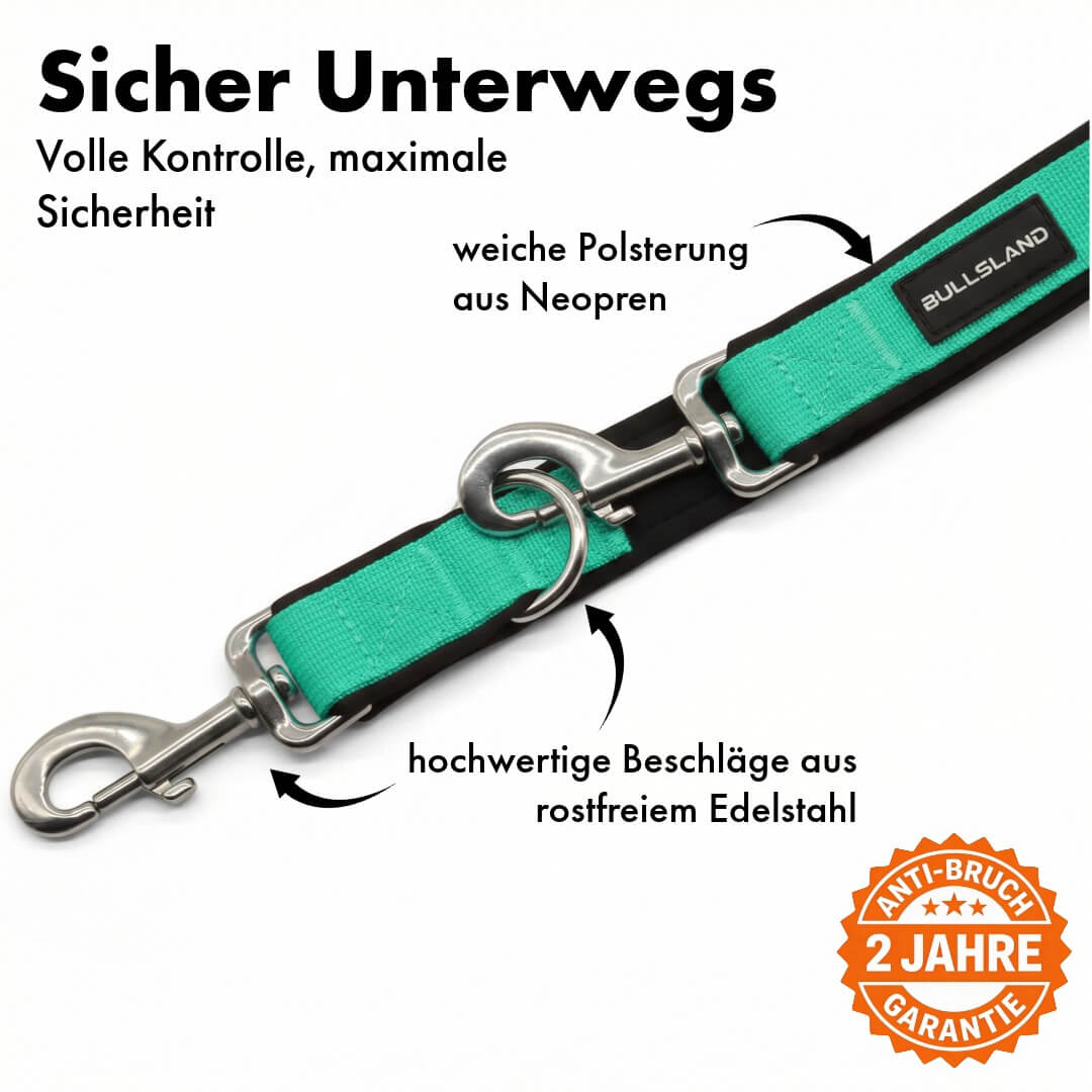 Hundeleine mit Edelstahl Karabiner- 3-fach verstellbar – mit Neoprenpolster - Mint Green