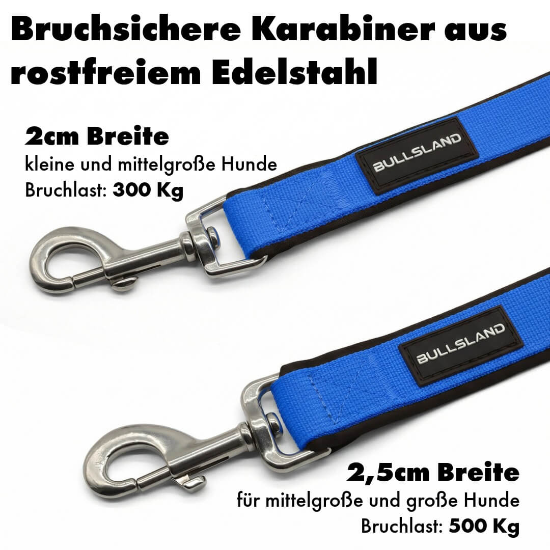 Hondenriem met roestvrijstalen karabijnhaak - 3-voudig verstelbaar - met neopreen vulling - Blauw