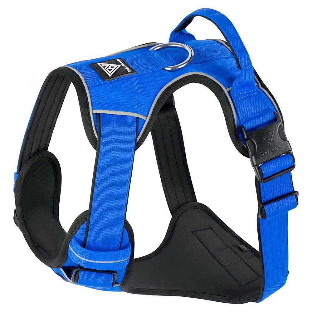 Premium Komfort Hundegeschirr Blau mit reflektierenden Nähten.