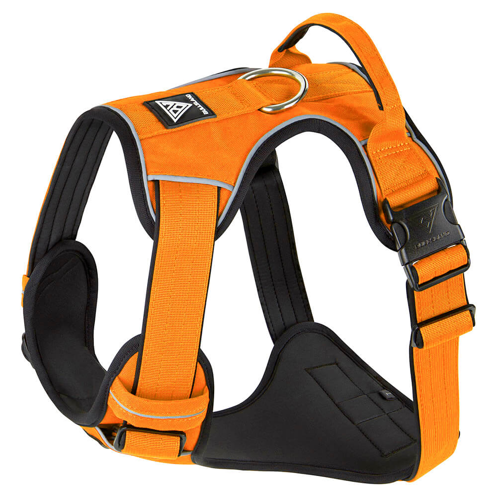 Premium Komfort Hundegeschirr Orange mit reflektierenden Nähten.