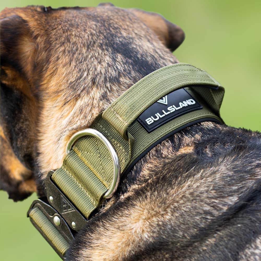 Praktischer Handgriff des taktischen Hundehalsbands in Khaki.