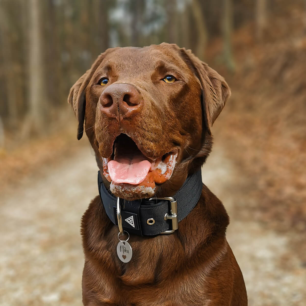 Nylon Hundehalsband "Basic" Edition - Black - Bullsland Dogwear
