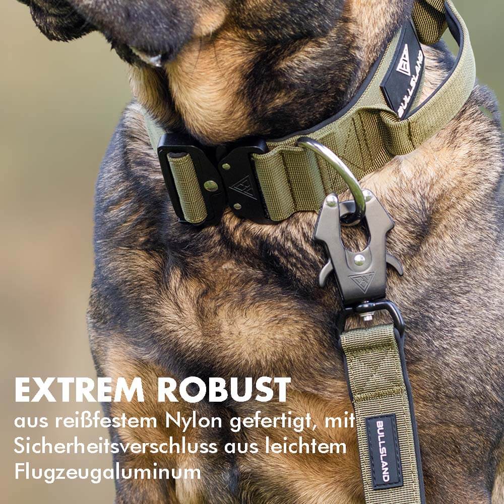 Taktisches Hundehalsband mit praktischem Handgriff und angebrachter Leine.
