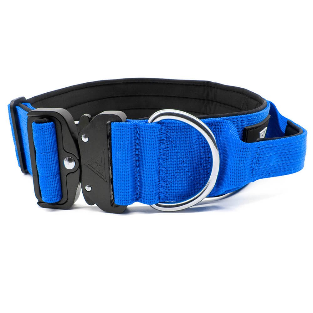 Blaues taktisches Hundehalsband mit Sicherheitsverschluss und D-Ring.