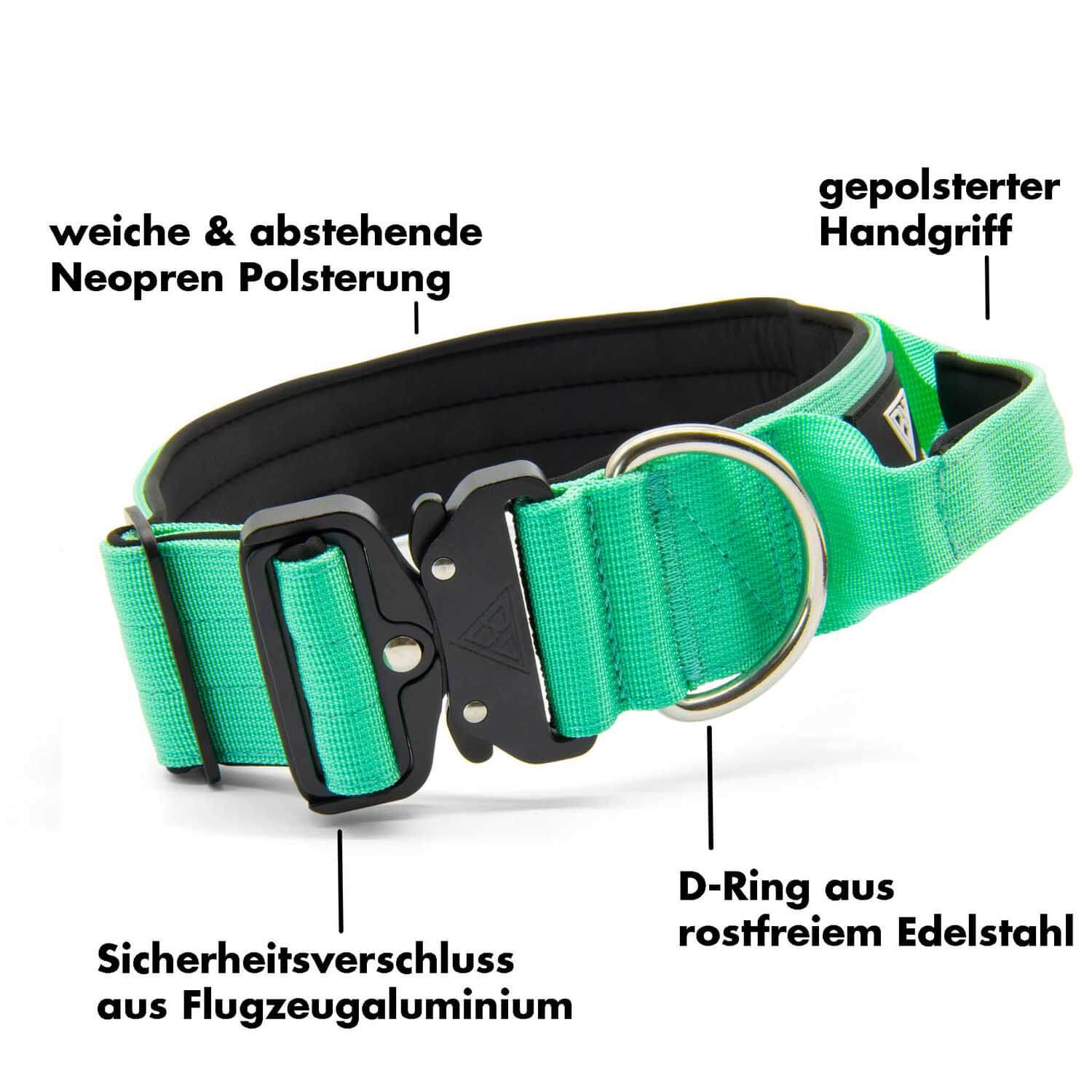 Taktisches Hundehalsband mit Griff von Bullsland Dogwear in Mint Gruen und deren Vorteile.