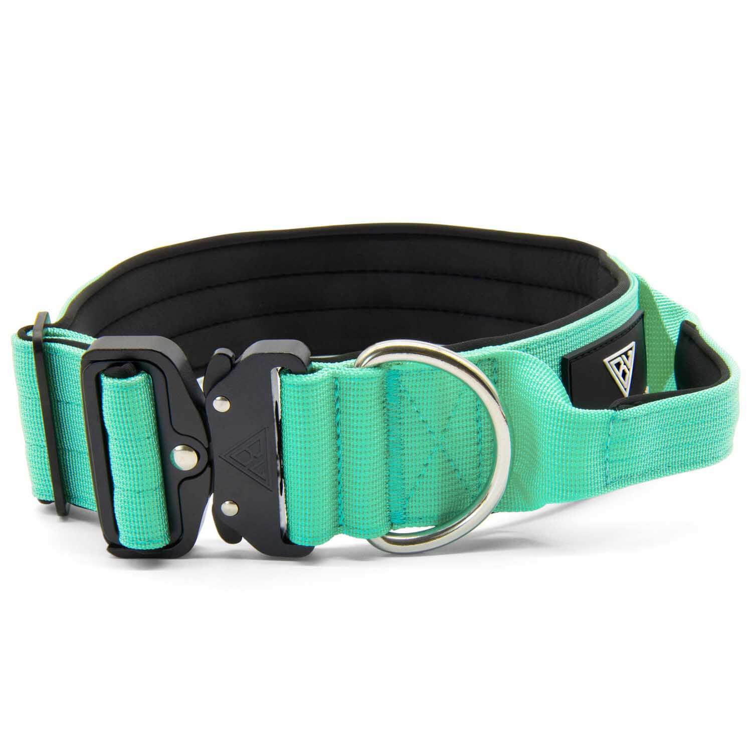 Taktisches Hundehalsband mit Griff von Bullsland Dogwear in Mint Gruen.