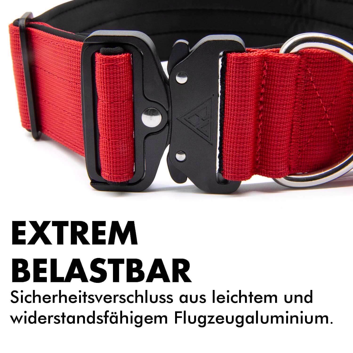 Extrem belastbares Hundehalsband mit Verschluss aus Flugzeugaluminium.