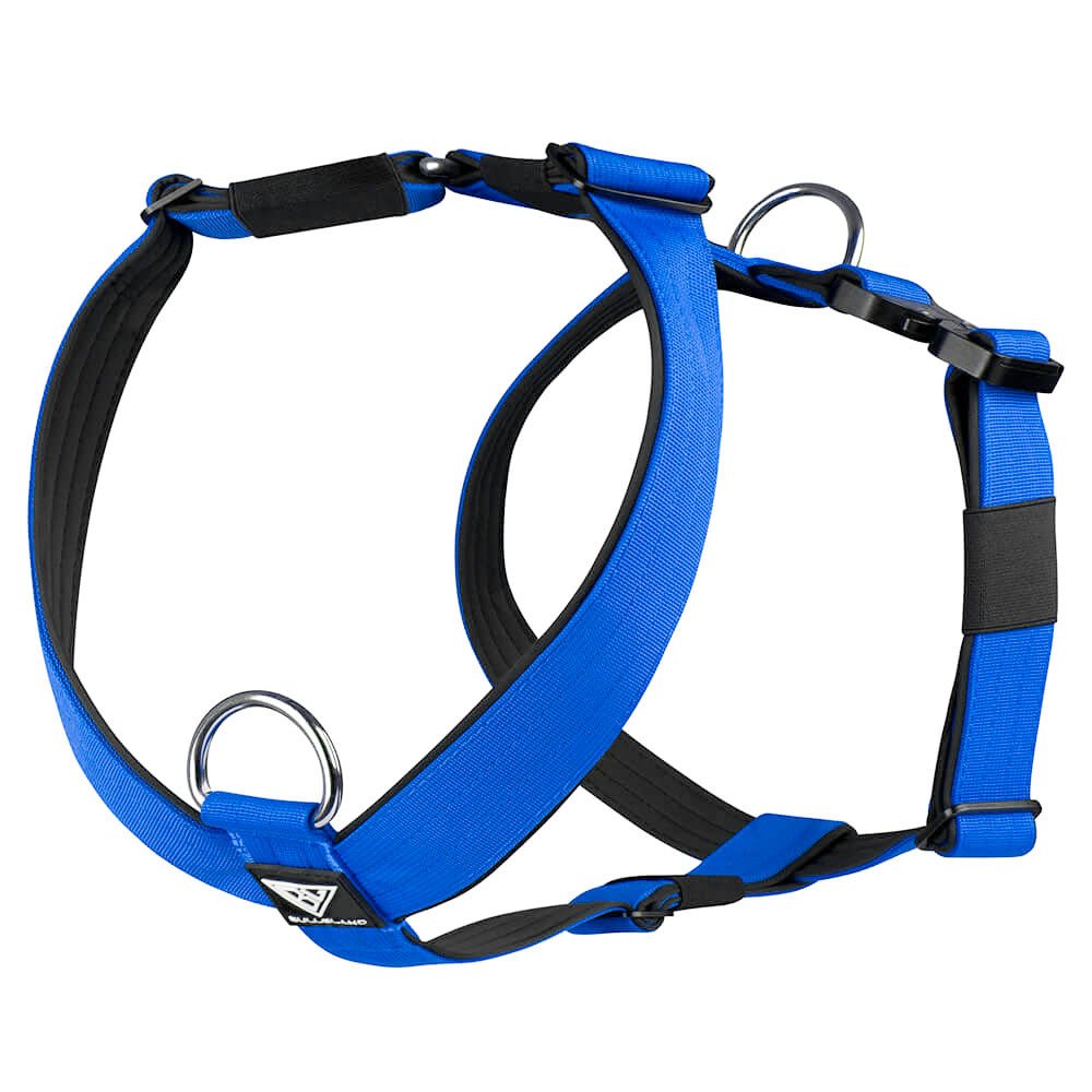Taktisches Y-Geschirr in Blau mit robustem Design und Sicherheitsverschluss.