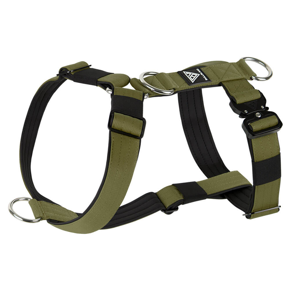 Verstellbares taktisches Hundegeschirr in Navy Green mit Sicherheitsverschluss.
