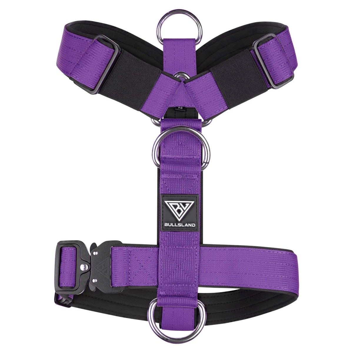 Rückansicht des lila Y-Geschirrs mit robustem Sicherheitsverschluss.