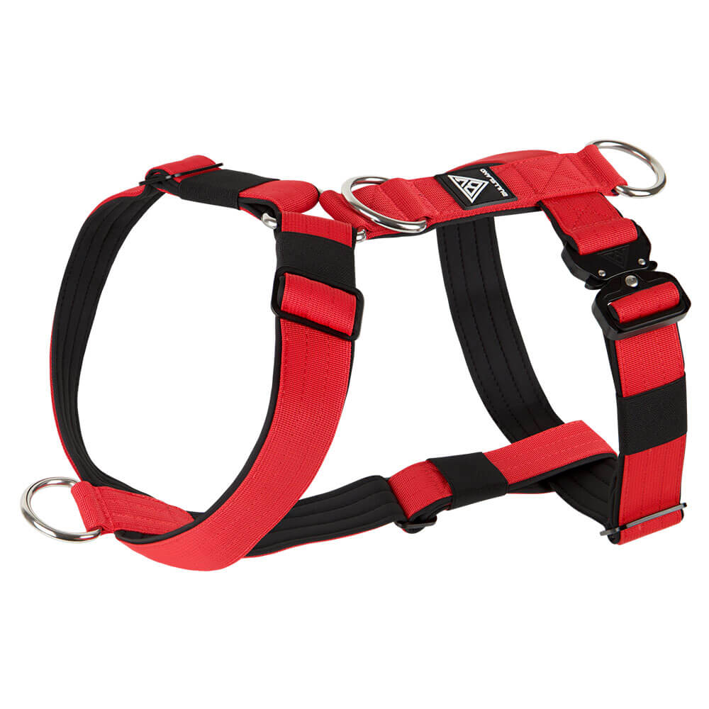 Verstellbares rotes Y-Hundegeschirr mit gepolsterten Gurten und D-Ringen.