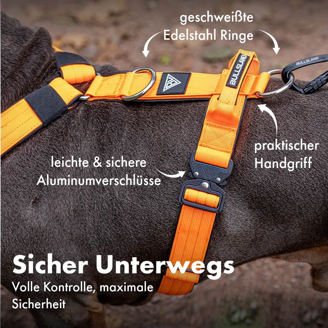 Taktisches Y-Geschirr "Pro" – mit Handgriff - Orange