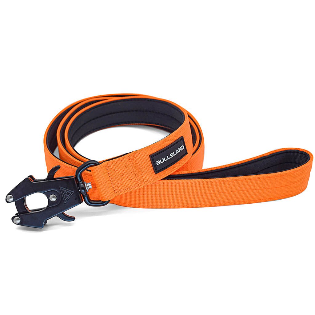 1,5m Tactical Hundeleine mit Handschlaufe - Orange - Bullsland Dogwear