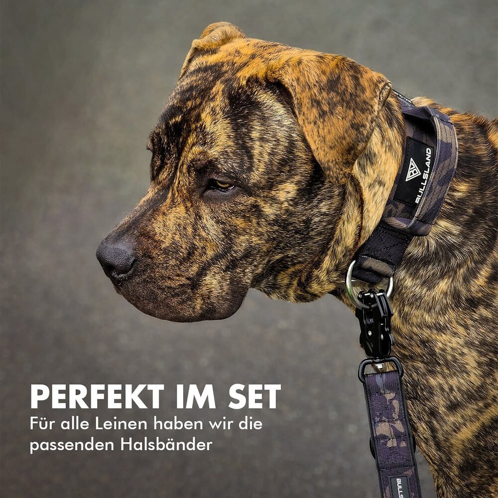 Doggo Canrio mit 2,5m langer taktischer Hundeleine und taktischem Hundehalsband in Camouflage von Bullsland Dogwear