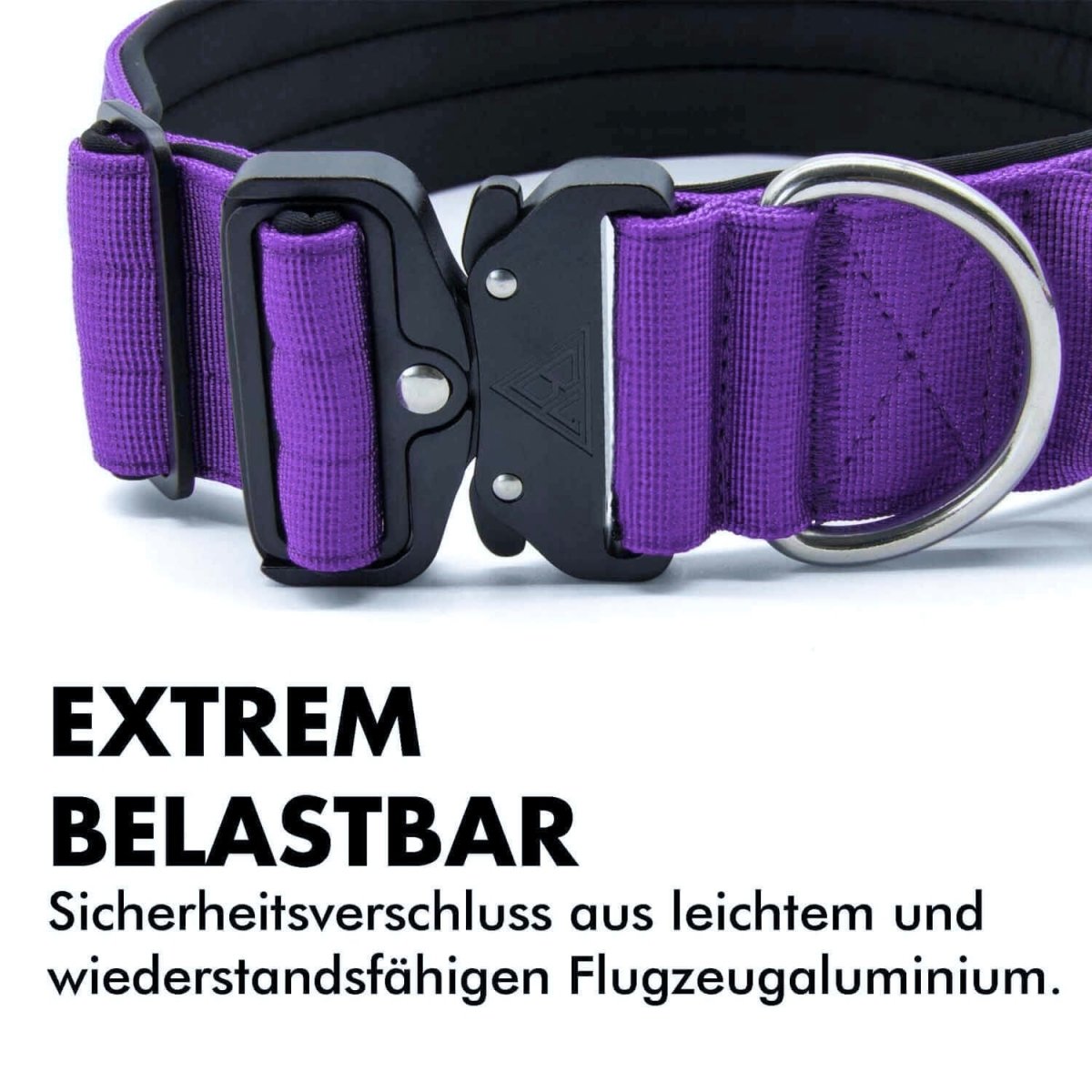 taktisches hundehalsband mit Sicherheitsverschluss in lila