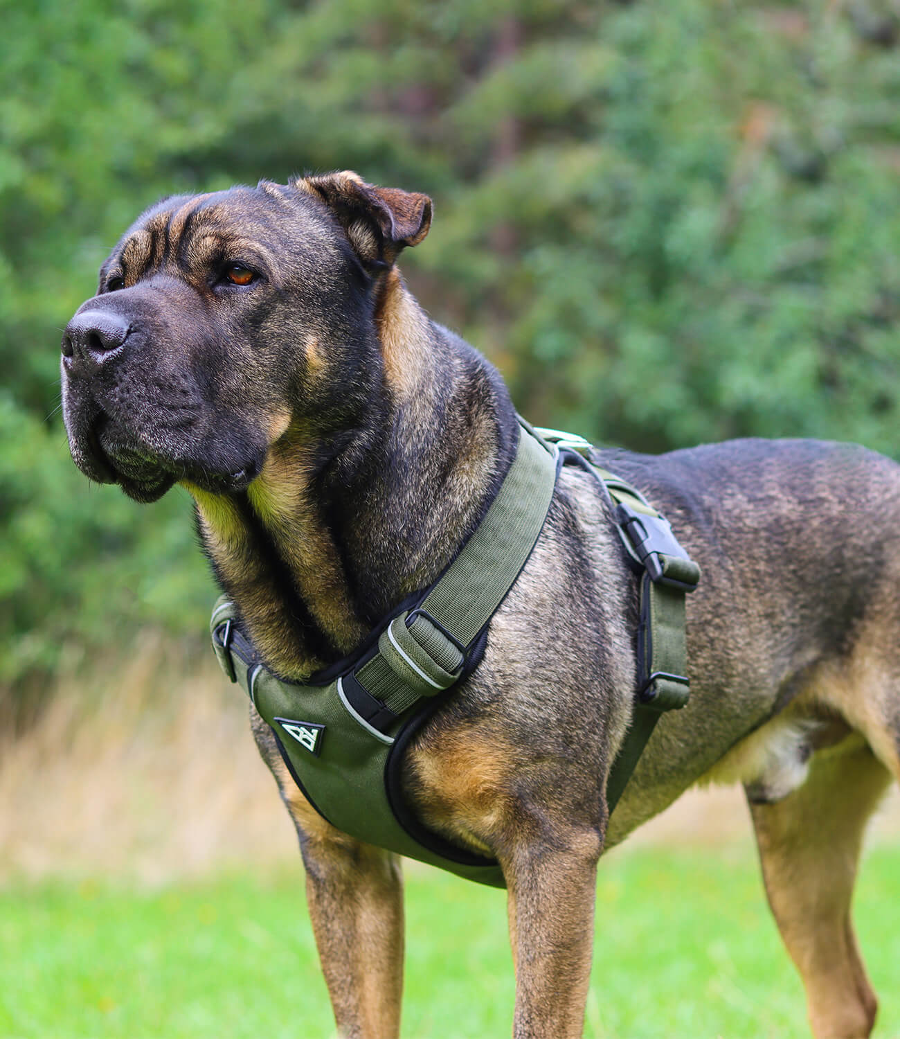 Comfort X Hundegeschirr Mit Doppel-Schnappverschluss – Rosa, Größe L Für Bequemes Tragen & Sicheren Halt