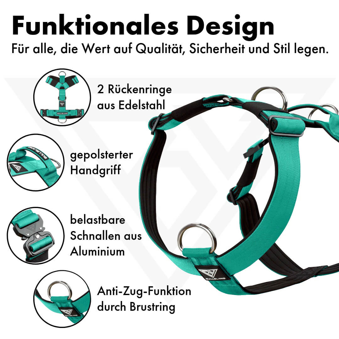 Taktisches Y-Geschirr "Pro" – mit Handgriff - Mint Green