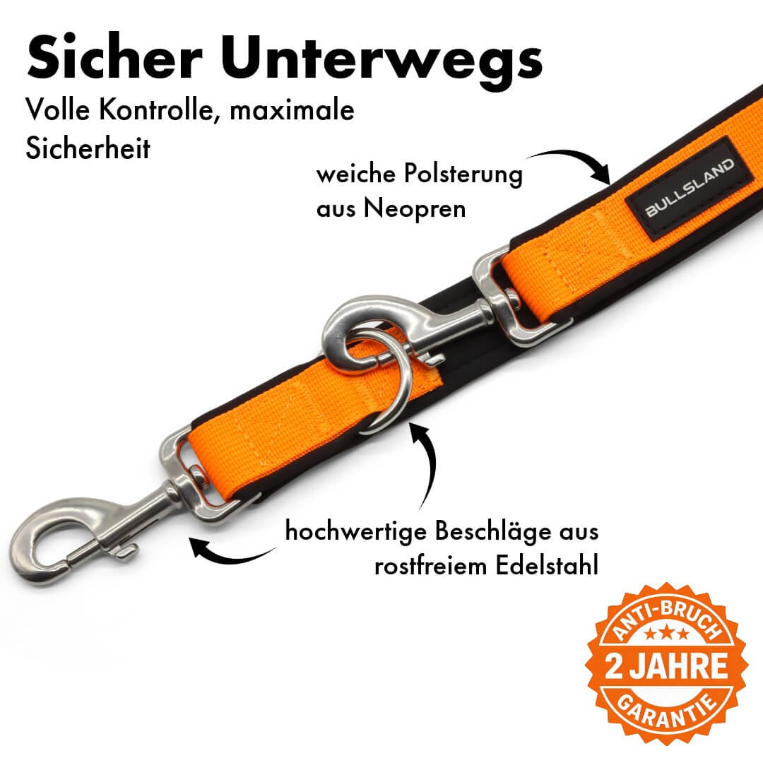 Hundeleine mit Edelstahl Karabiner- 3-fach verstellbar – mit Neoprenpolster - Orange