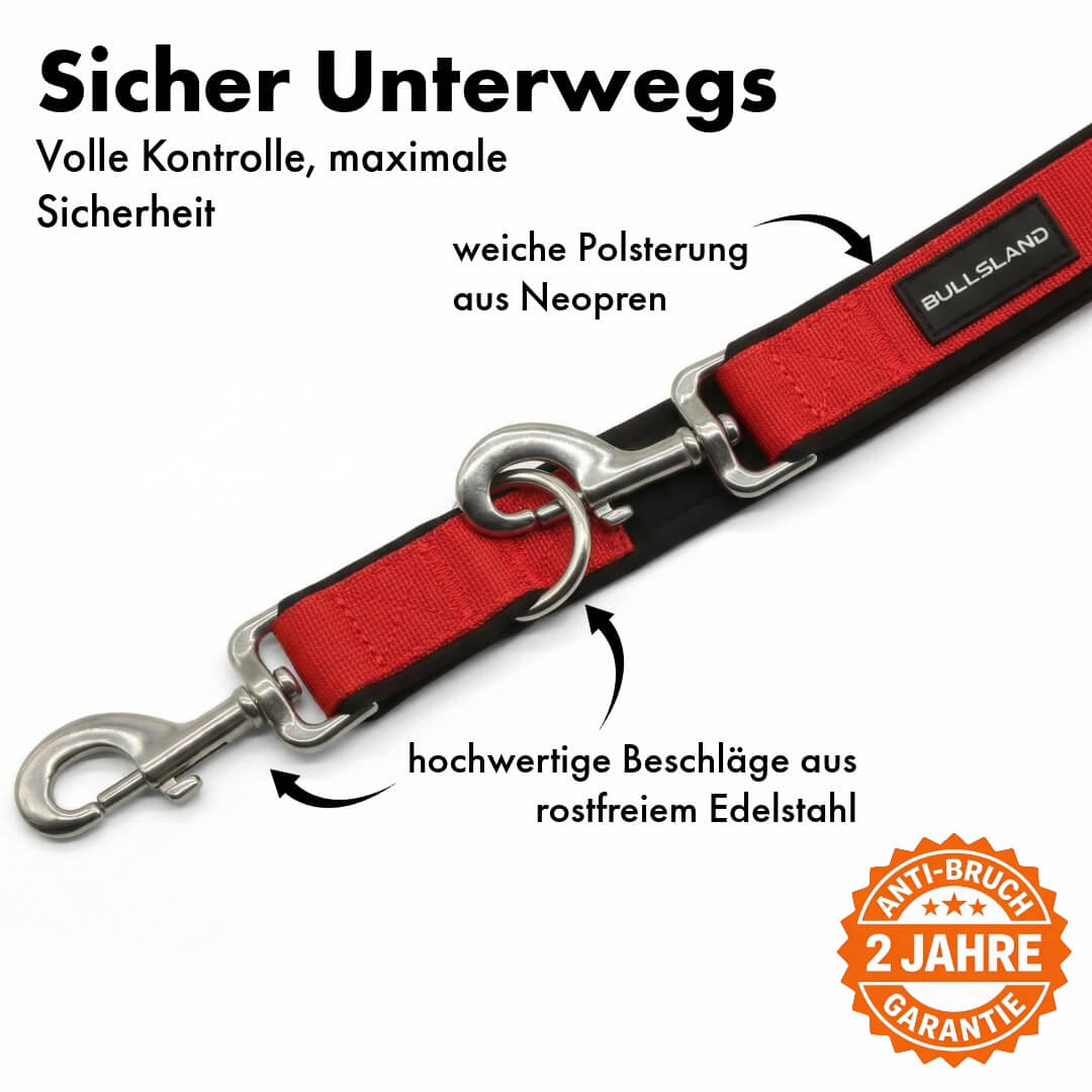 Hundeleine mit Edelstahl Karabiner- 3-fach verstellbar – mit Neoprenpolster - Rot